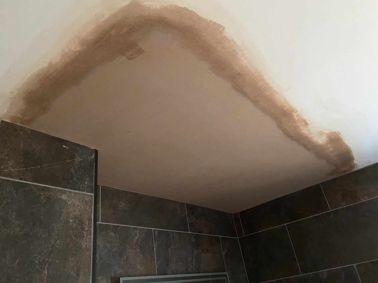 Wall & Ceiling Repairs by Webster Finishes in Bridgwater