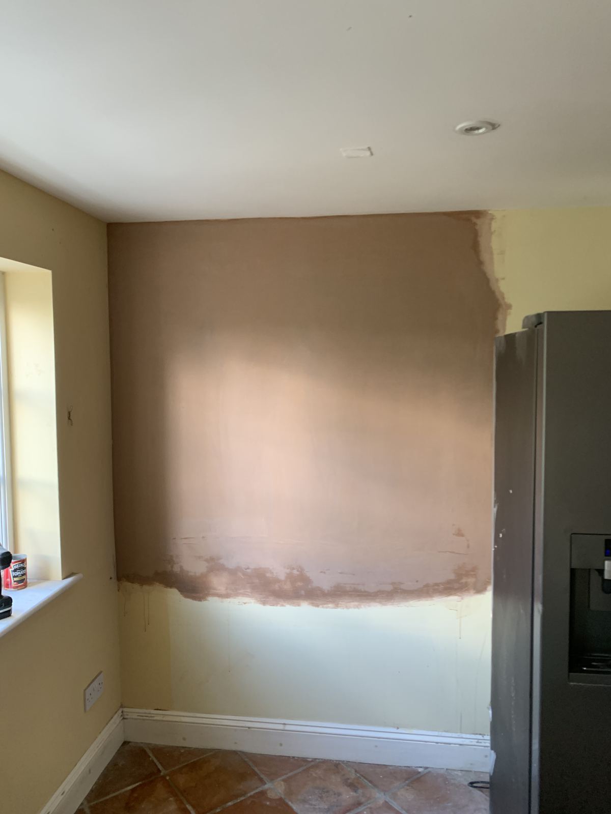 Wall & Ceiling Repairs by Webster Finishes in Bridgwater